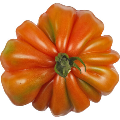 pdp-image-AH Coeur de boeuf tomaten