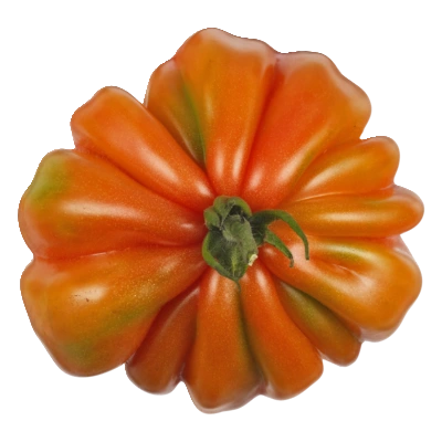 pdp-image-AH Coeur de boeuf tomaten