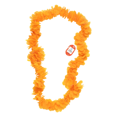 pdp-image-AH Hawaiislinger