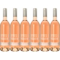 Een afbeelding van Côtes de Provence Rose 6 flessen