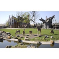 Een afbeelding van Diergaarde Blijdorp kind