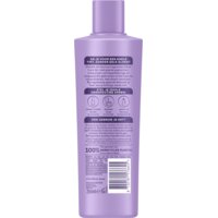 Een afbeelding van Andrélon Zilver care shampoo