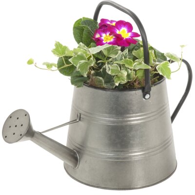 pdp-image-AH Voorjaarsarrangement in gieter klein