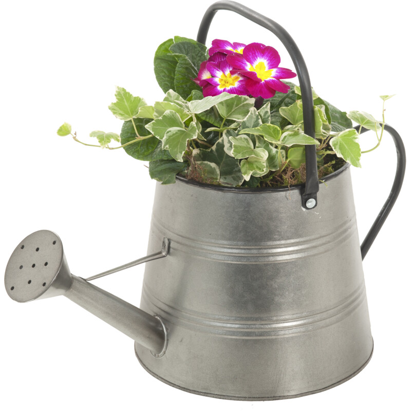 Een afbeelding van AH Voorjaarsarrangement in gieter klein