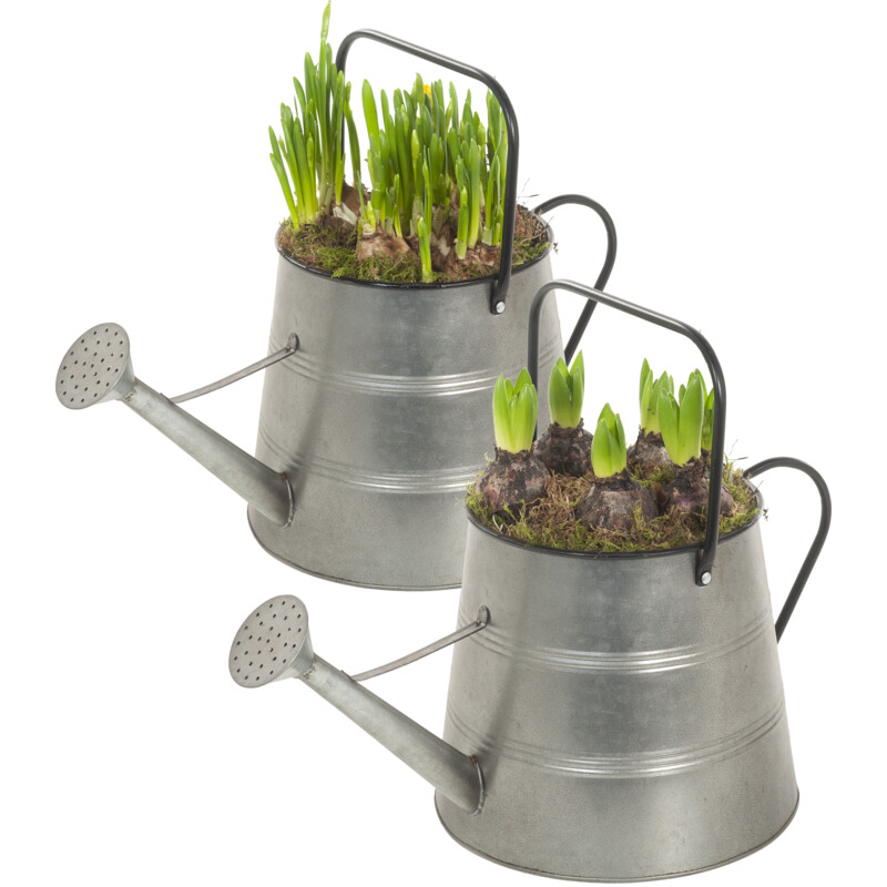 Een afbeelding van AH Voorjaarsarrangement in gieter groot