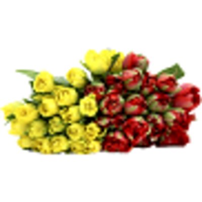 pdp-image-AH Pioentulpen geel oranje