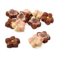 Een afbeelding van AH Excellent Gevulde bloemen praliné