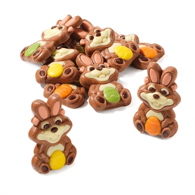 pdp-image-AH Excellent Chocolade paas hamsters
