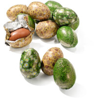 Een afbeelding van AH Excellent Holle verstop paaseieren voor in de tuin