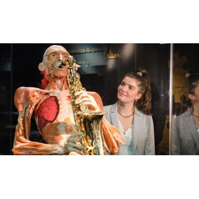 pdp-image-Body worlds volwassene