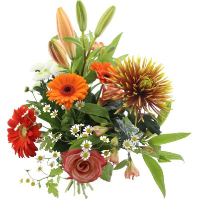 pdp-image-AH Hollands boeket