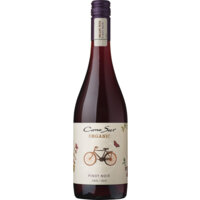 Een afbeelding van Cono Sur Bicicleta pinot noir