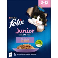 Een afbeelding van Felix Elke dag feest junior mix selectie gelei