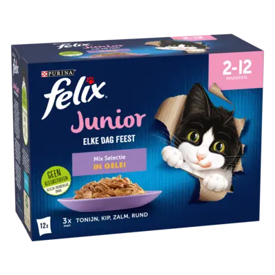 pdp-image-Felix Elke dag feest junior mix selectie gelei