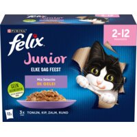 Een afbeelding van Felix Elke dag feest junior mix selectie gelei