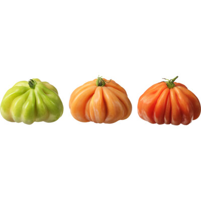 pdp-image-AH Coeur de boeuf tomaten