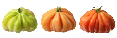 pdp-image-AH Coeur de boeuf tomaten