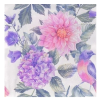 AH Servet dahlia