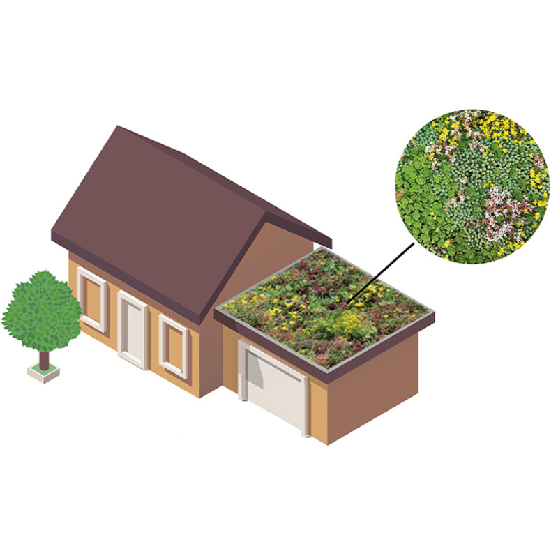 Een afbeelding van de Dakvergroeners Groendak lichtgewichtsysteem 9m2