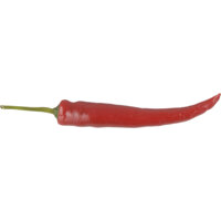 Peper