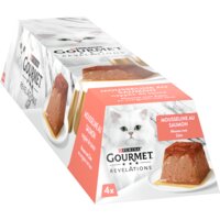 Een afbeelding van Gourmet Revelations mousse met zalm