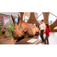 Een afbeelding van Naturalis entree