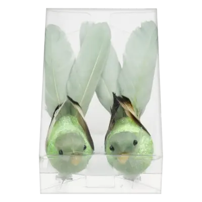 pdp-image-AH Vogels op clip groen