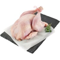 AH Vakslager Kalkoen