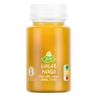 AH Biologisch Ginger mango verse appel mango gember