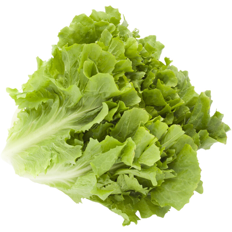 Een afbeelding van AH Andijvie