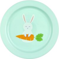 Een afbeelding van AH Kinderservies bordje