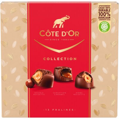 pdp-image-Côte d'Or Collection pralines bel