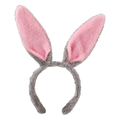pdp-image-AH Tiara haasje