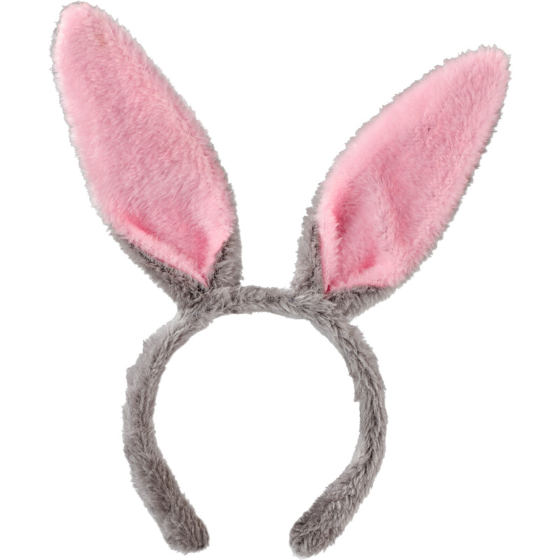 Een afbeelding van AH Tiara haasje