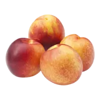 AH Nectarines