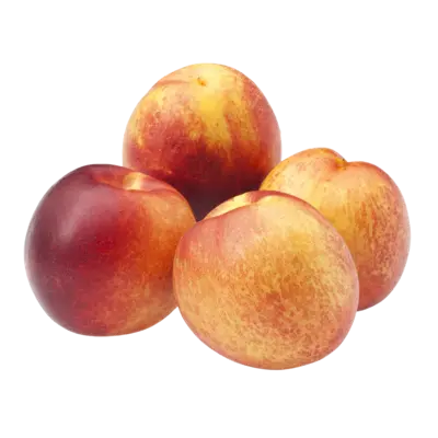 pdp-image-AH Nectarines