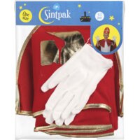 Een afbeelding van AH Sintpak