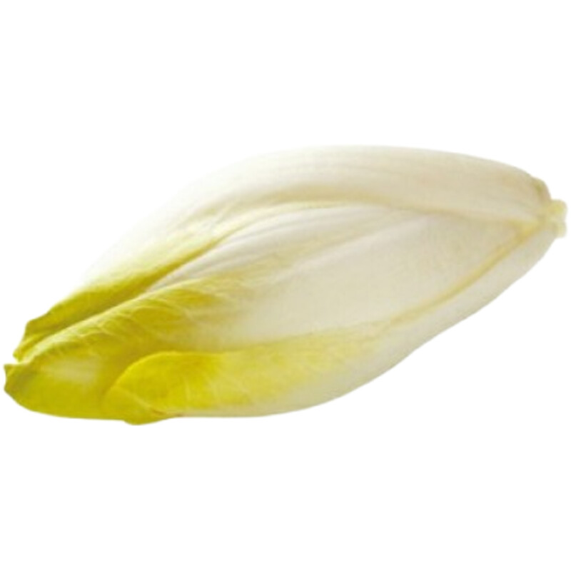 Een afbeelding van AH Witlof los