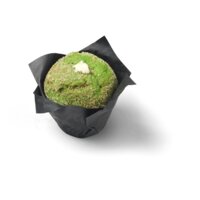 Een afbeelding van AH Kokos pandansmaak muffin