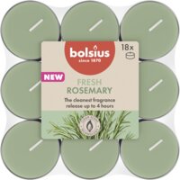 Bolsius Geurtheelichten 4u true scent rozemarijn