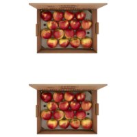 Een afbeelding van AH Fruitbox appels 2-pack