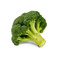 AH Biologisch Broccoli