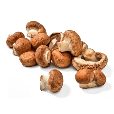 pdp-image-AH Buitenbeentjes Kastanjechampignons