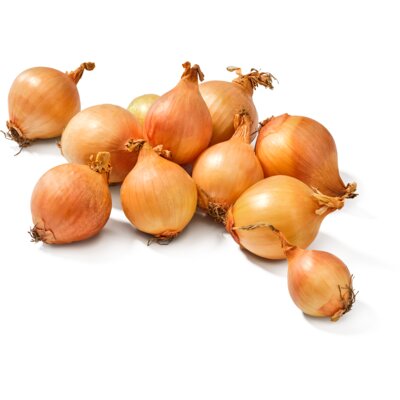 pdp-image-AH Biologisch Gele uien