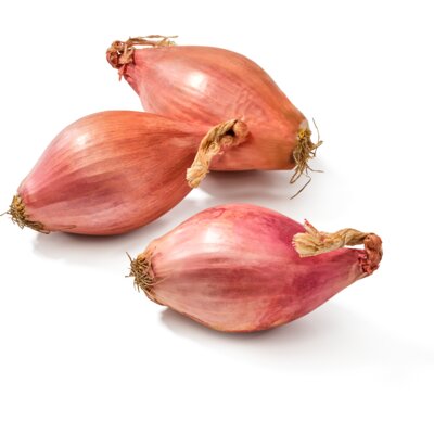 pdp-image-AH Biologisch Sjalotten