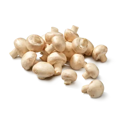 pdp-image-AH Witte champignons