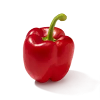 AH Paprika rood