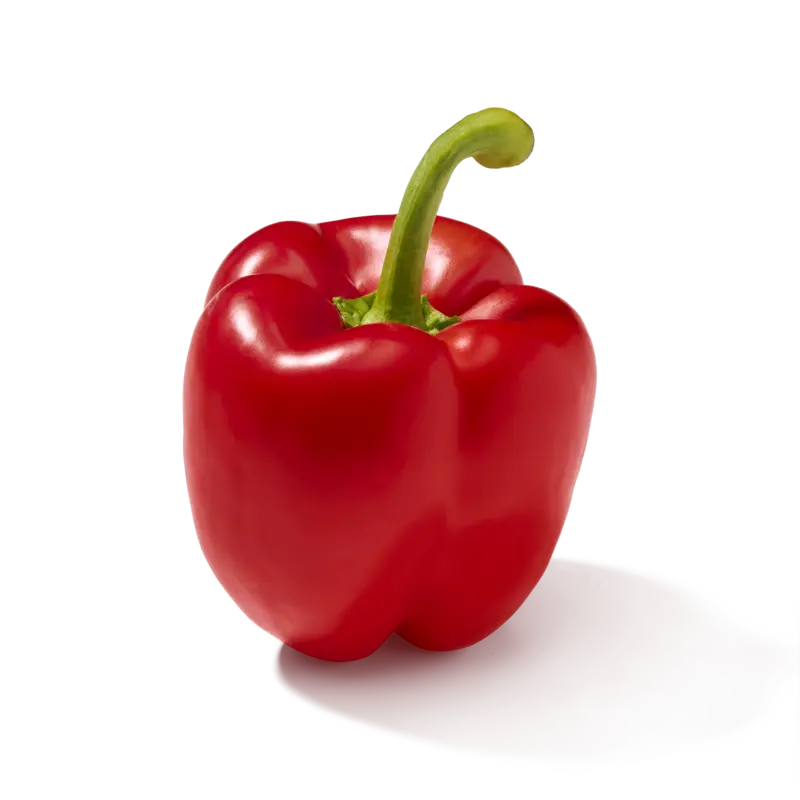 AH Paprika rood