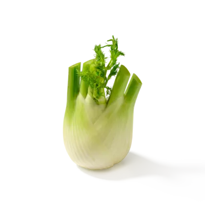 pdp-image-AH Venkel