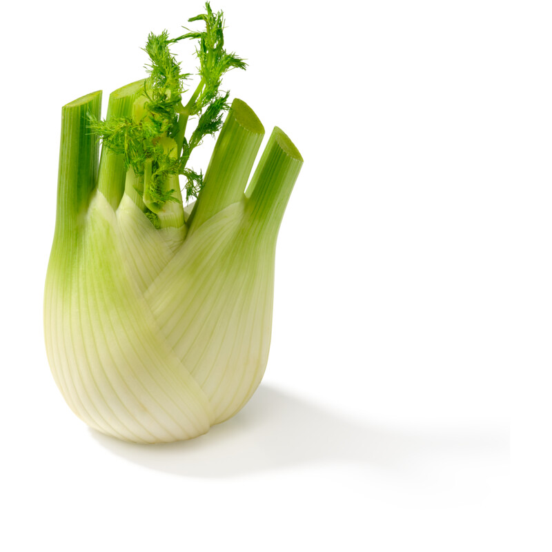 Een afbeelding van AH Venkel